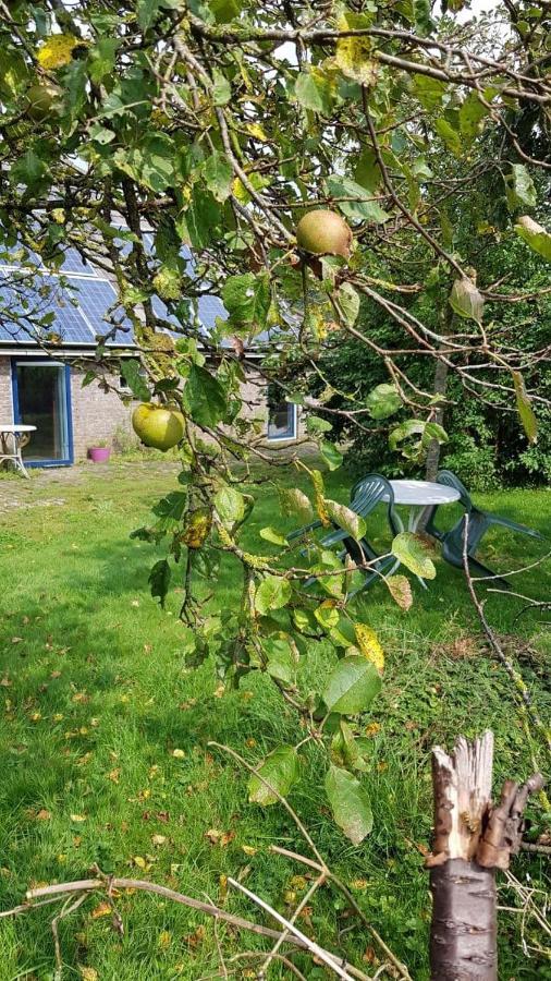 Logeerruimte In Gerenoveerde Boerderij In Wachtum Apartman Kültér fotó