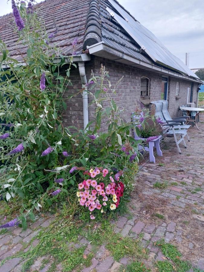 Logeerruimte In Gerenoveerde Boerderij In Wachtum Apartman Kültér fotó