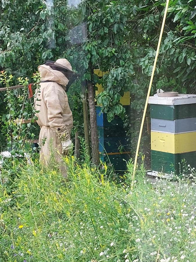 Logeerruimte In Gerenoveerde Boerderij In Wachtum Apartman Kültér fotó