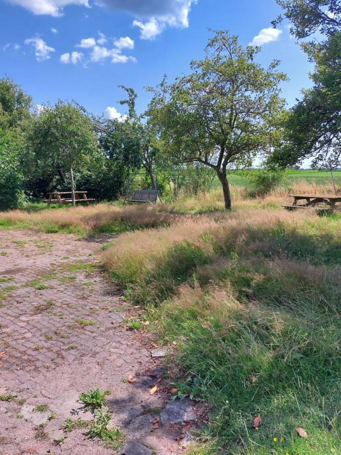 Logeerruimte In Gerenoveerde Boerderij In Wachtum Apartman Kültér fotó
