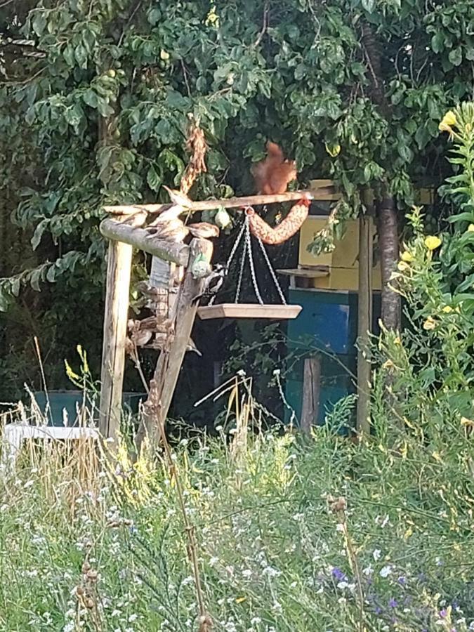Logeerruimte In Gerenoveerde Boerderij In Wachtum Apartman Kültér fotó